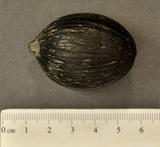 Click for more details.